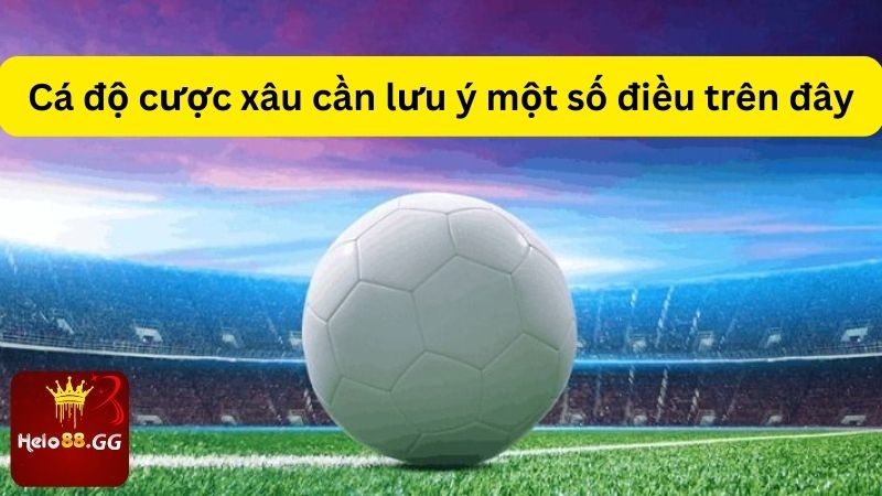 Cá độ cược xâu cần lưu ý một số điều trên đây